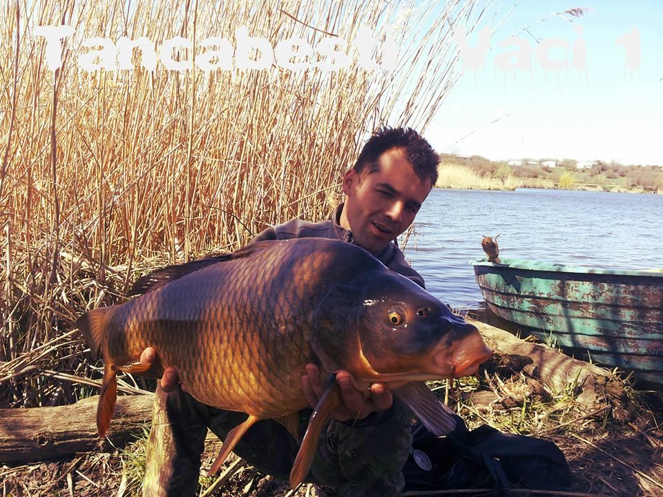 Best Off - 1421330609121609135644961260277n.jpg